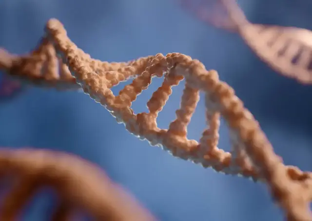 Rendering of a DNA double helix